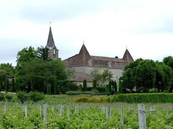 <p>Avec quelques ha de vigne en façade.</p>PM