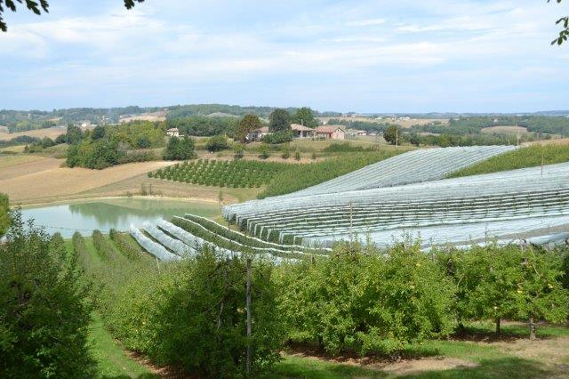 Paysages du Quercy