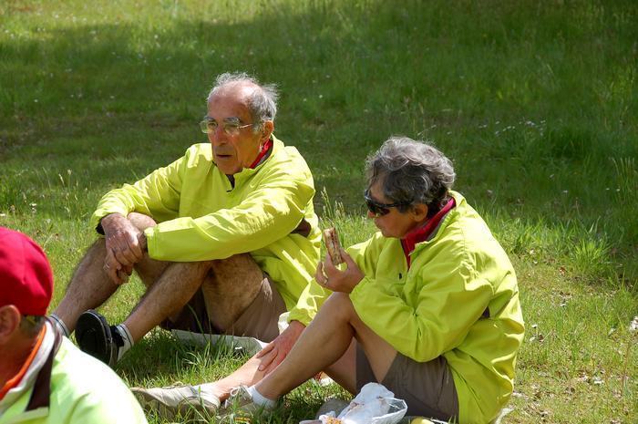 Souvent dans l'herbe