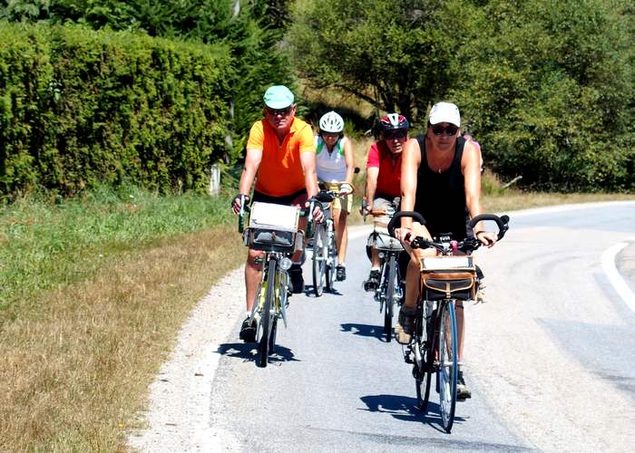 Sur la route en sous-bois