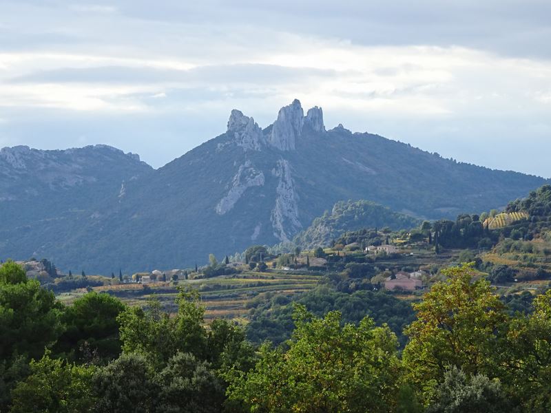 Les Dentelles de Montmirail se dressent à l'horizon