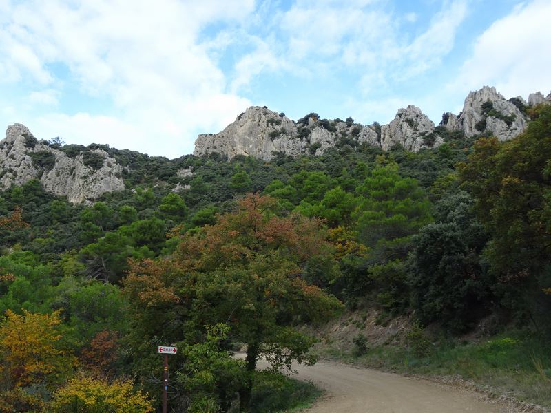 Au pied des Dentelles de Montmirail