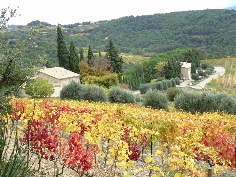 Palette de couleurs autour des mas